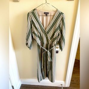 Luxology green and cream striped button down dress NWT